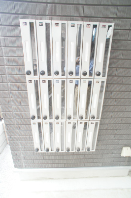 21/24 その他画像