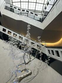 8/18 その他画像