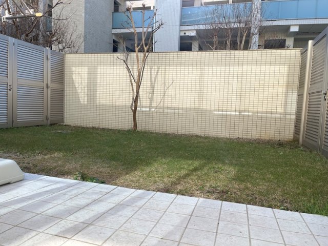 11/21 その他画像