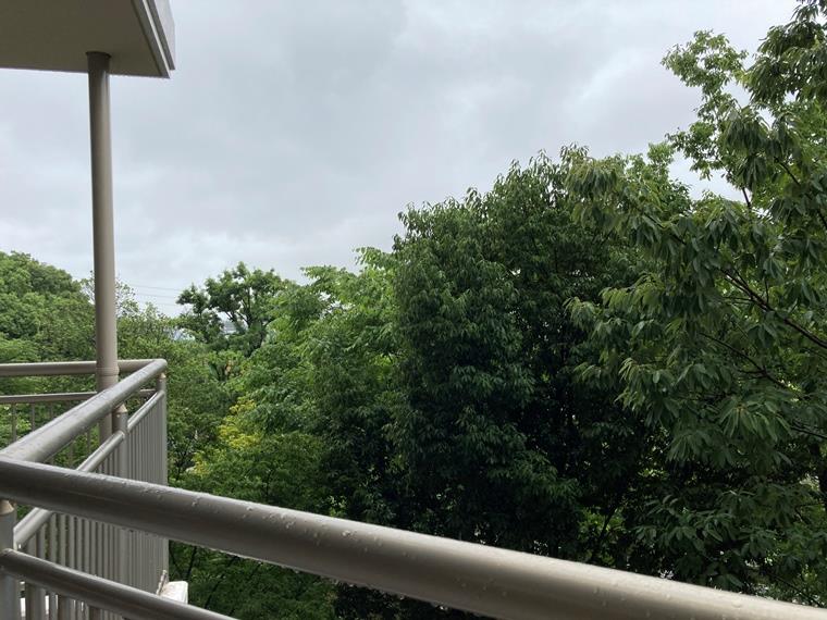 15/18 その他画像