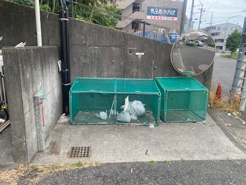 21/26 その他画像