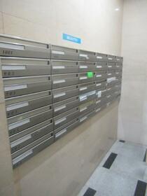 15/16 その他画像