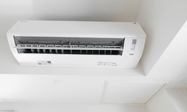 29/30 その他画像