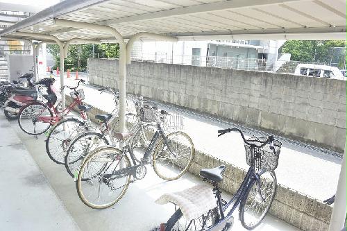 13/16 その他画像