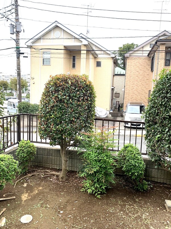 15/16 その他画像