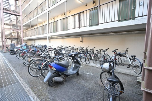 20/30 その他画像