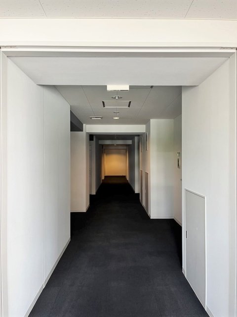 5/16 その他画像