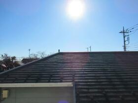 12/13 その他画像