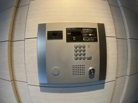 11/11 その他画像