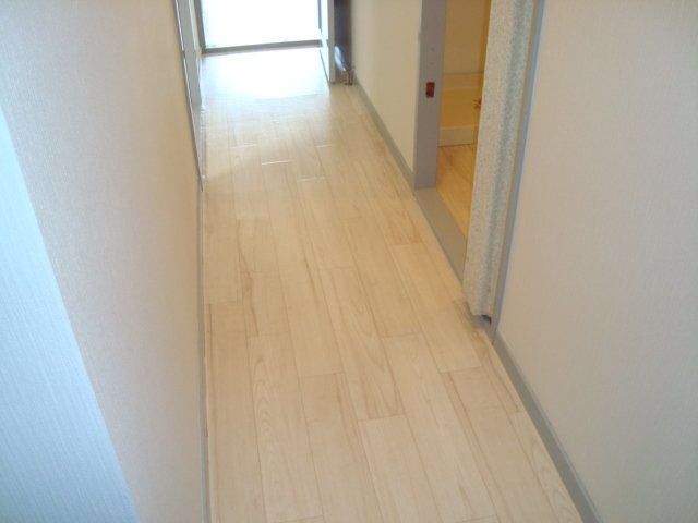 15/29 その他画像