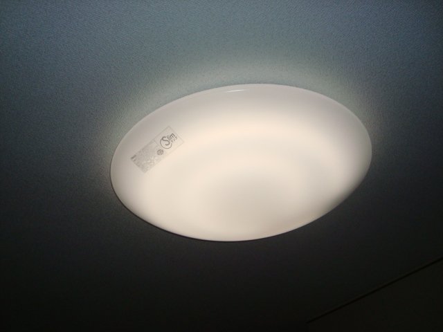 21/29 その他画像