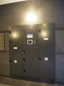 15/16 その他画像