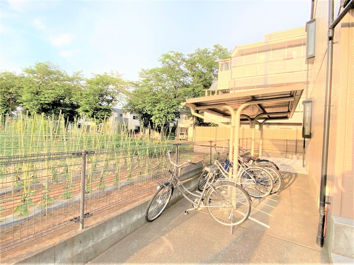 16/20 その他画像