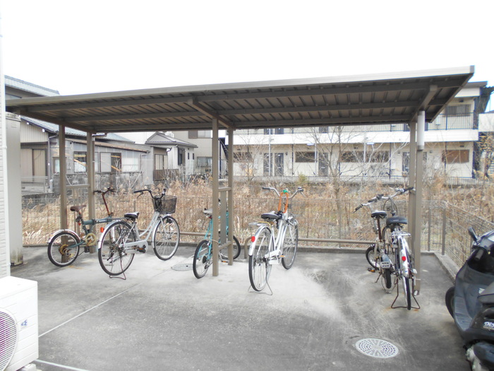 3/17 その他画像