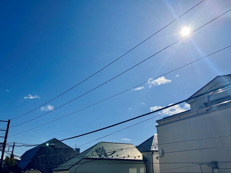 15/19 その他画像