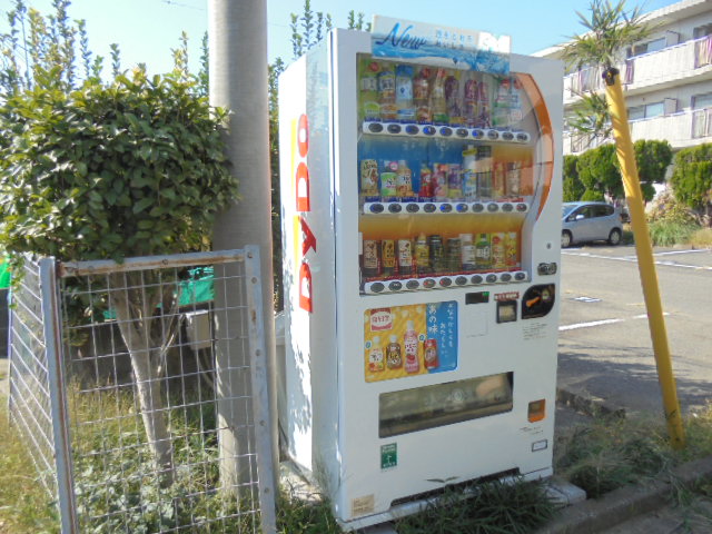 16/29 その他画像