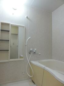 8/16 その他画像