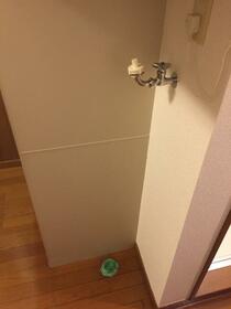 11/15 その他画像