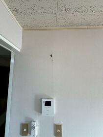 11/22 その他画像