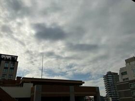 13/16 その他画像