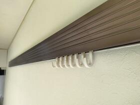 16/16 その他画像