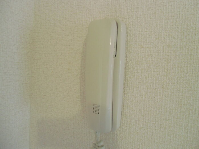 8/11 その他画像