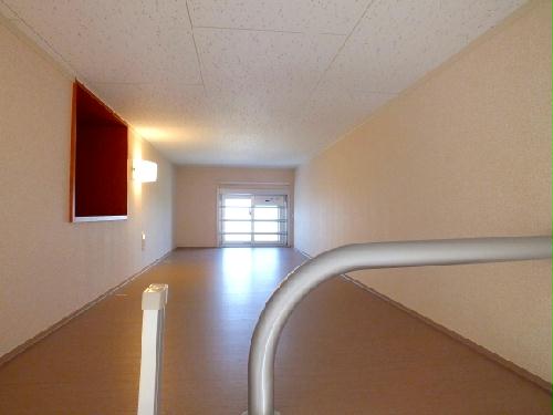 7/14 その他画像