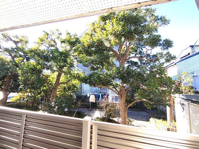 11/11 その他画像