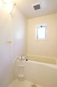 5/11 その他画像