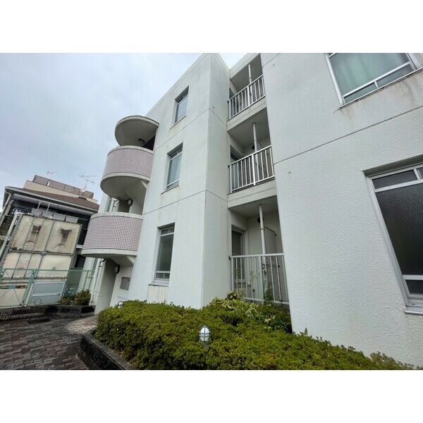 11/15 その他画像