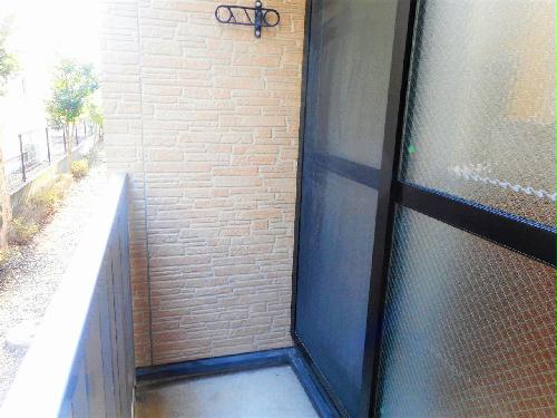 11/14 その他画像