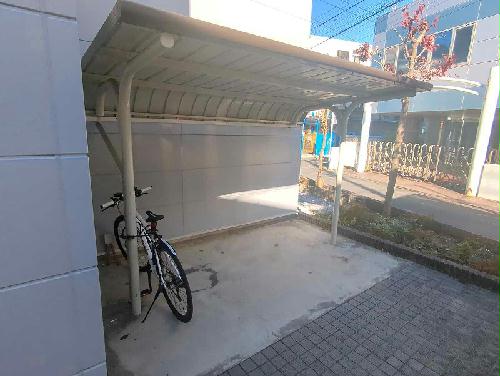 5/11 その他画像