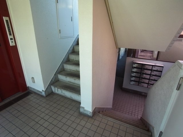 15/19 その他画像