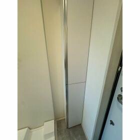 11/11 その他画像