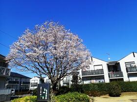 14/16 その他画像