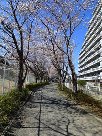 15/16 その他画像