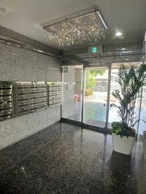 5/11 その他画像