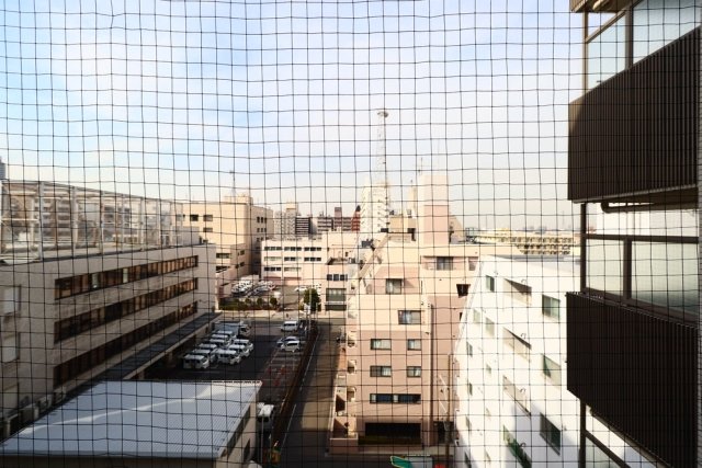 21/29 その他画像