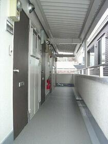 15/16 その他画像