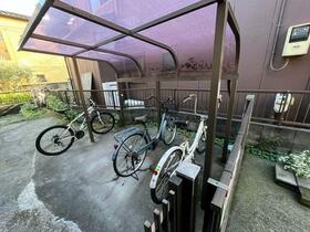 11/11 その他画像