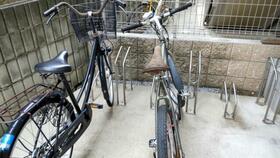 8/11 その他画像