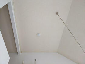 15/15 その他画像