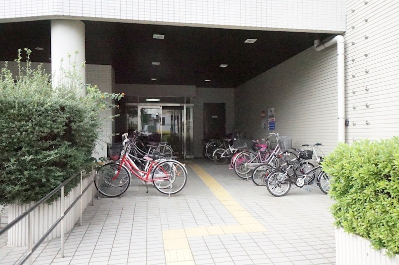 13/13 その他画像