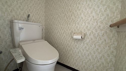 5/11 その他画像