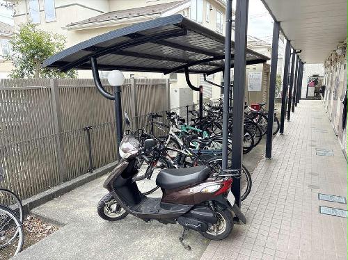 8/19 その他画像