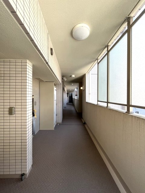 6/16 その他画像