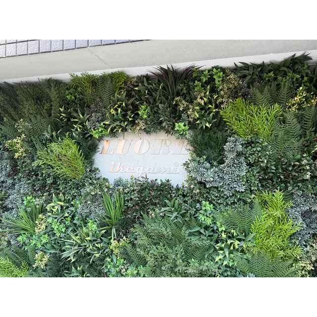 3/23 その他画像