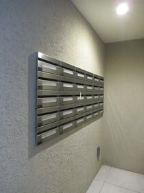 15/16 その他画像