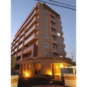 11/11 その他画像