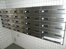 13/16 その他画像